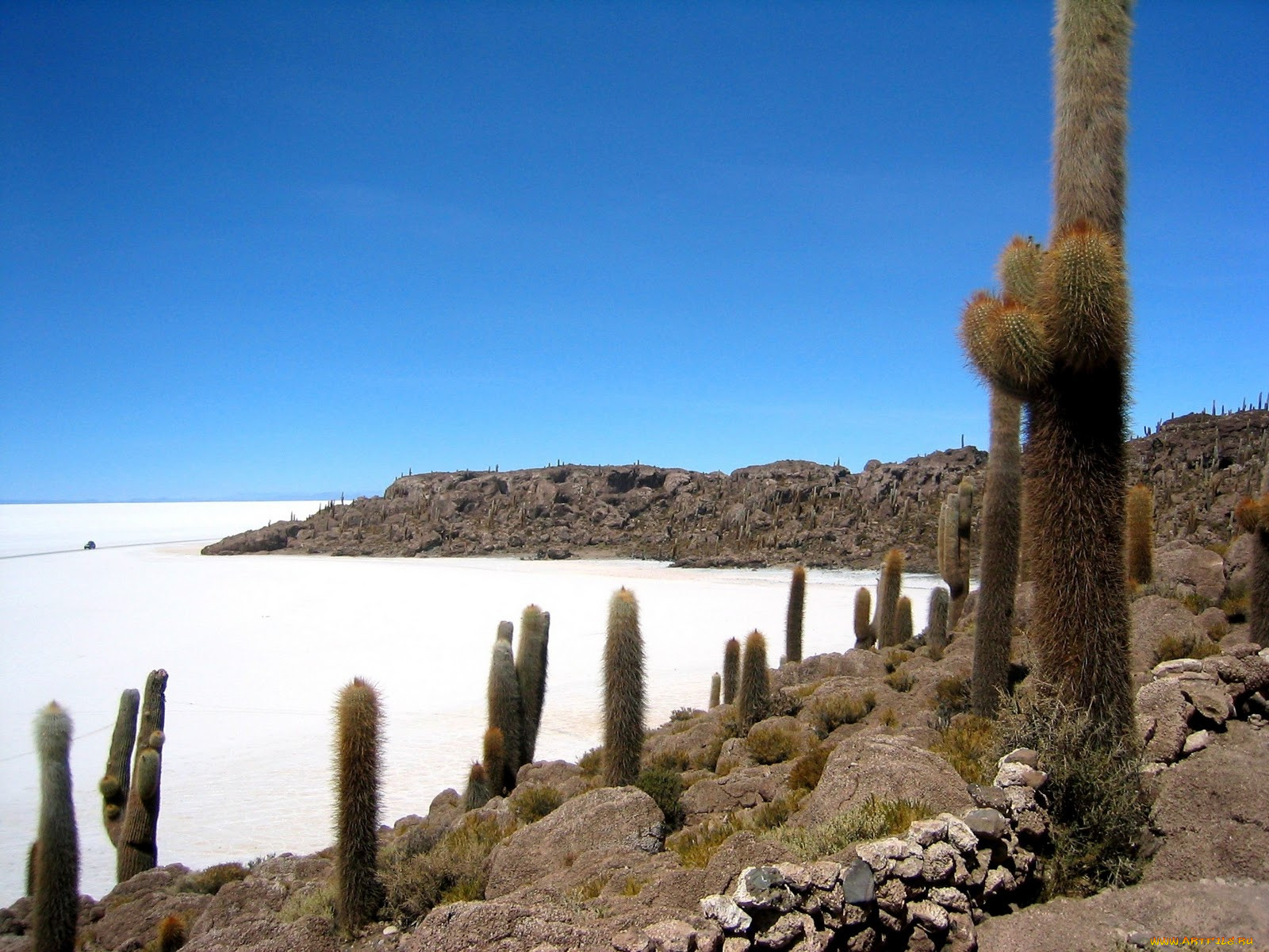 salar, de, uyuni, , , bolivia, 